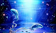 双鱼座今日运势2013年02月19日