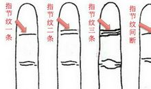 食指纹路看你的一生命运