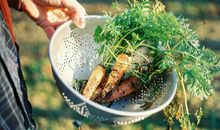 Lucia处女座2017年9月运势