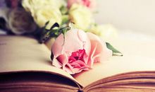 属猴人2021年幸运色