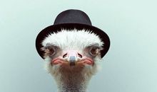 处女座今日运势2012年8月12日