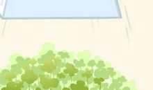 详解家居风水中的四大靠山