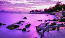 狮子座的秘密