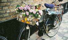 寂多蔓生2017年9月处女座运势