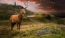 A微日记2018年8月射手座运势