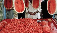 寂多蔓生2017年9月狮子座运势