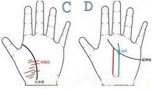 容易被钱财所累的手相