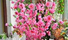 桃花位不能摆的物品有哪些？