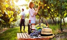 眼睛看哪些男人要小心