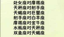 射手座和双子座配吗