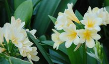 Eskey巨蟹座一周运势（8.27-9.2）