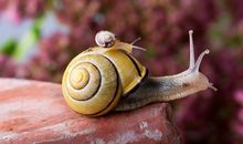 神叨酱塔牌测试12.22日运