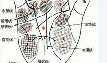 滥施情感的手相有何特征