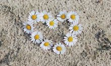 Eskey水瓶座一周运势（8.27-9.2）