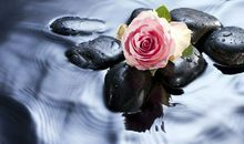 Eskey天蝎座一周运势（8.27-9.2）