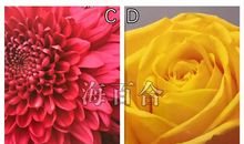 神准测试 || 今生你在哪方面会很成功？