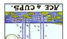 处女座今日运势2013年02月12日