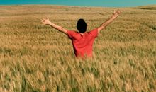 小乖麻根等卓玛2017年8月水瓶座运势