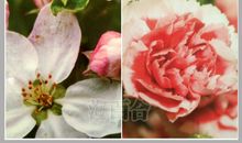 【神准测试】你朋友带给你什么？