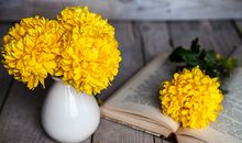 八字弃命格之从儿格