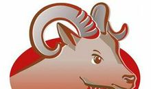 金牛座今日运势2012年8月9日