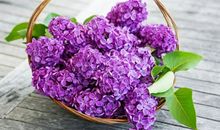 Eskey金牛座一周运势（8.27-9.2）