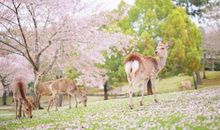 A微日记2018年8月双子座运势