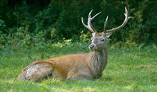 A微日记2018年8月处女座运势