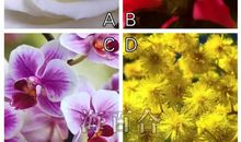 神准测试| 最近你吸引什么类型的异性？