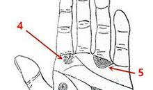 手相中的绝对符号