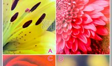 神准测试|你的幸福在哪里？