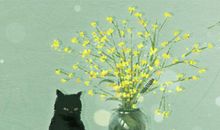 蓝蓝占星一周运势2.18-2.24