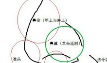 鼻子面相解析人生运势