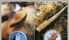 神准测试|你的工作潜能在哪里？