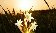 Eskey双子座一周运势（8.27-9.2）