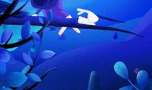 女巫店12星座一周运势2012年6月12—18日