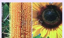 神准测试|如何能让自己摆脱霉运？