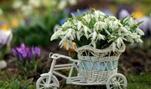 YAO叔射手座一周运势（8.6-8.12）