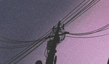 十二星座6月塔罗运势