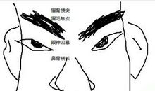 性格暴躁的男人面相