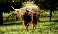 A微日记2018年8月天秤座运势