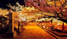 占星骑士本周职场运势2012年6月4—10日