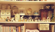 小乖麻根等卓玛2017年8月金牛座运势