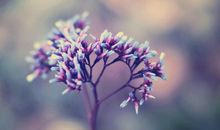 唐绮阳/唐立淇今日运势2019年7月19日