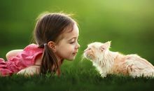 Alex天蝎座2017年9月运势