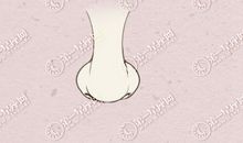 各种类型的鼻子图_你属于哪一种？