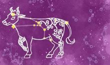 天蝎座本周运势2012年6月11—17日