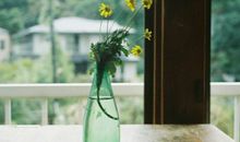 水蓝色眼泪2017年5月狮子座运势