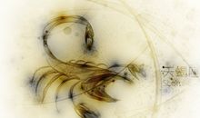 柒爸2017年5月天蝎座运势