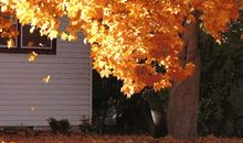 紫微十四主星本周运势(2012.6.10—16)